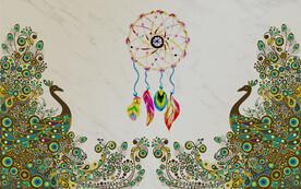 现代简约孔雀家和背景墙