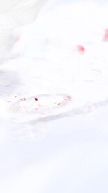 实拍唯美白色粉色桃花点缀场景图