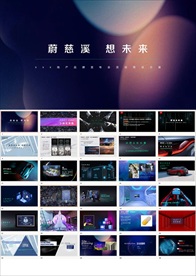 XX地产品牌发布会活动策划方案