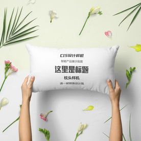 枕头样机