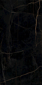 黑金花 金龙黑高清瓷砖设计