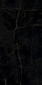 黑金花 金龙黑高清瓷砖设计