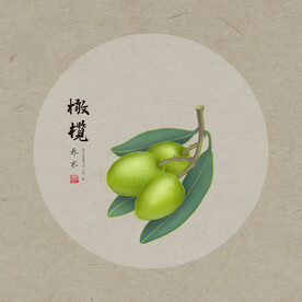 手绘橄榄