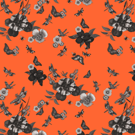 花朵 蝴蝶 蜻蜓