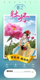 春之牡丹微海报
