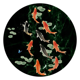 轻奢九鱼装饰画