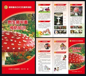 野生菌预防知识
