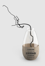 木艺玻璃瓶样机