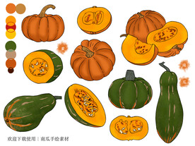 南瓜手绘素材