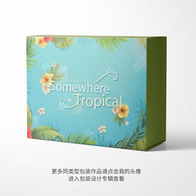 精品包装盒设计图
