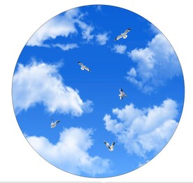 蓝天白云鸽子 圆形
