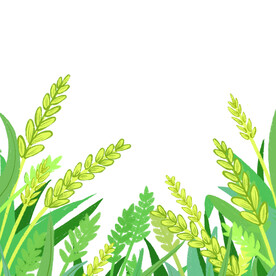 小满节气麦子卡通元素