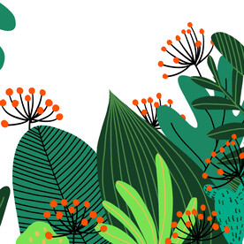 插画绿色植物元素