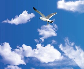 天空