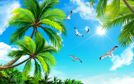 蓝天白云 天顶画