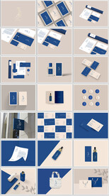 质感蓝色护肤品提案样机VI设计