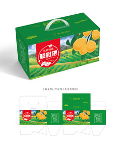 枇杷包装