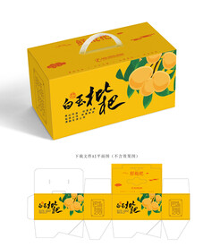 枇杷包装