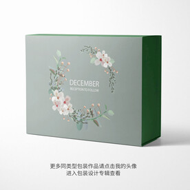 精品包装盒设计平面图