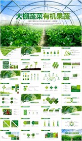 智慧农业大棚蔬菜农副产品PPT