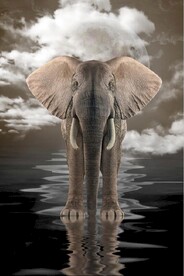 现代轻奢大象倒影玄关装饰画