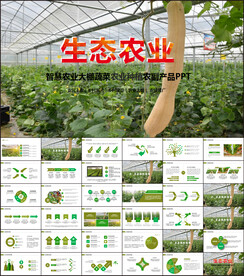 智慧农业大棚蔬菜农副产品PPT