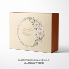 精品包装盒设计平面图