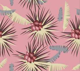 叶子 椰树 芭蕉叶