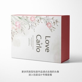 精品包装盒设计平面图图片