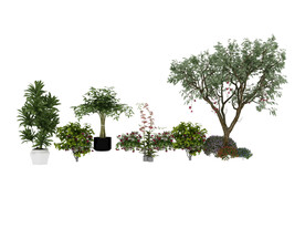 植物树木花丛模型