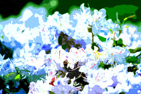 6090厘米装饰油画素材可印刷