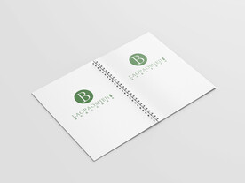 螺旋圈记录表样机图片