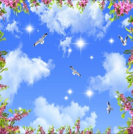 蓝天白云鸽子鲜花