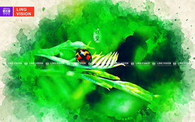 二十四节气惊蛰 