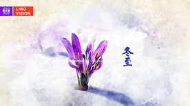 二十四节气冬至