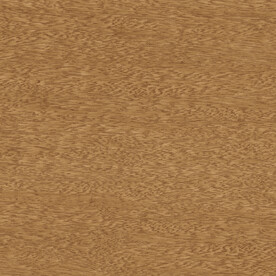 人气 天然超清木纹 TIF合层