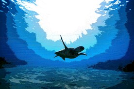 6090厘米装饰油画素材可印刷