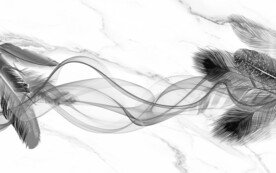 羽毛山水简约新画 文件分层画