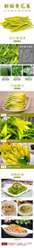新鲜黄花菜详情装修页面设计