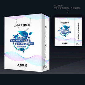 简洁手提袋 时尚手提袋