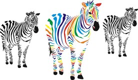 矢量斑马 彩虹斑马 七彩斑马 