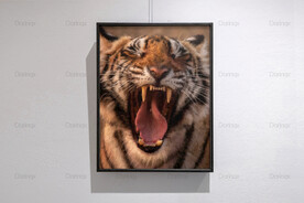 6090厘米装饰油画素材可印刷