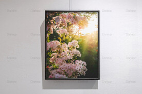 6090厘米装饰油画素材可印刷