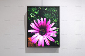 6090厘米装饰油画素材可印刷