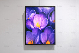 6090厘米装饰油画素材可印刷