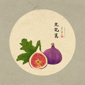 手绘无花果