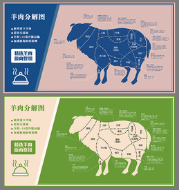 羊肉分解图