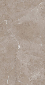 暖灰 咖啡灰瓷砖大理石设计图