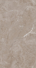 暖灰 咖啡灰瓷砖大理石设计图