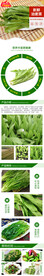新鲜油麦菜 莜麦菜详情页面设计